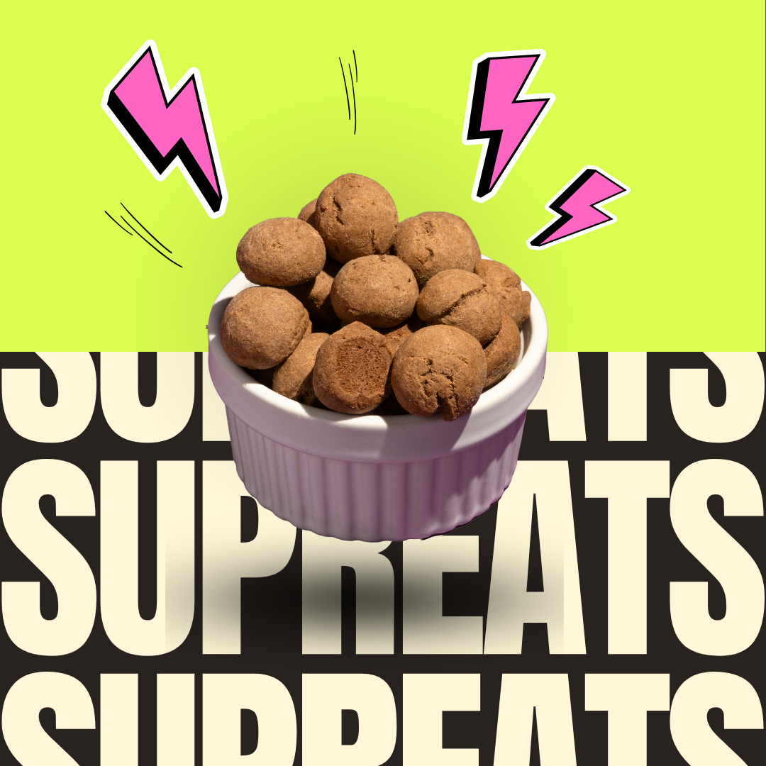 Wheat Chocolate mini Cookies | Healthy & Nutty | No Palm Oil | 100g x 3